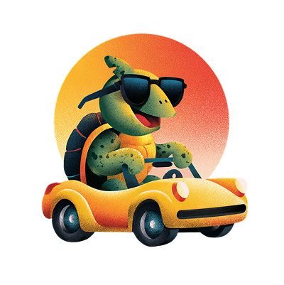 turtle driving car safely